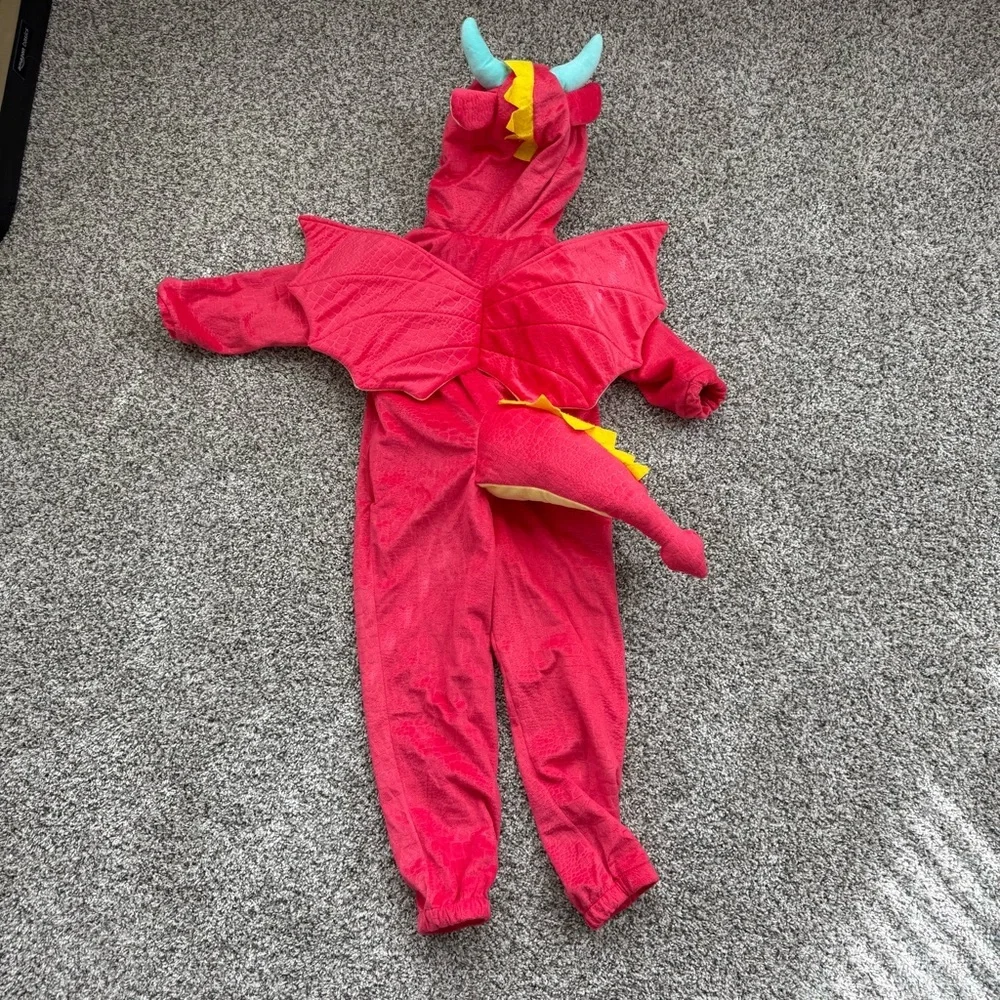 Dragon Costume